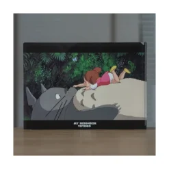 Maison Ghibli Classement|Chemise A4 Sur le ventre - Mon Voisin Totoro