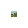 Maison Ghibli Magnets|Set Magnet Totoro Voler Dans Le Vent-Mon Voisin Totoro